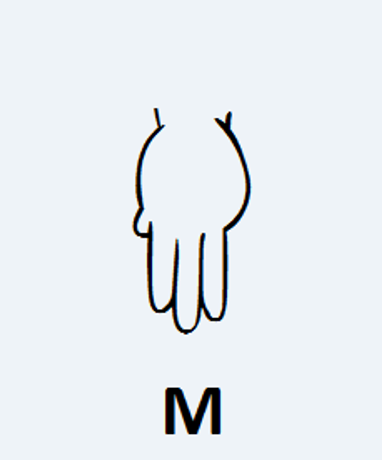 M em Língua de Sinais